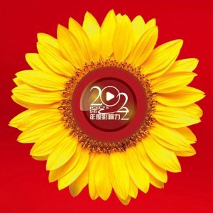 ​年度导演毛卫宁：执“真实”之笔 绘时代画卷