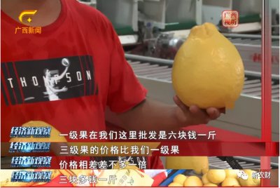 ​行情走高，百万吨沙田柚都卖到哪了？