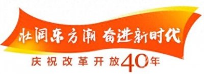 ​看佛山迎春花市变迁：花市越来越靓生活越变越好