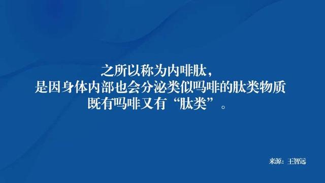 内啡肽过剩的后果（内啡肽难道用错了）(3)