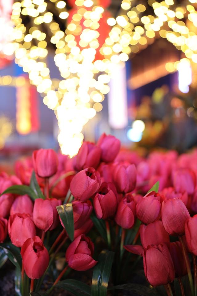 适马35mm1.4镜头测评（利刃般全能镜头）(14)