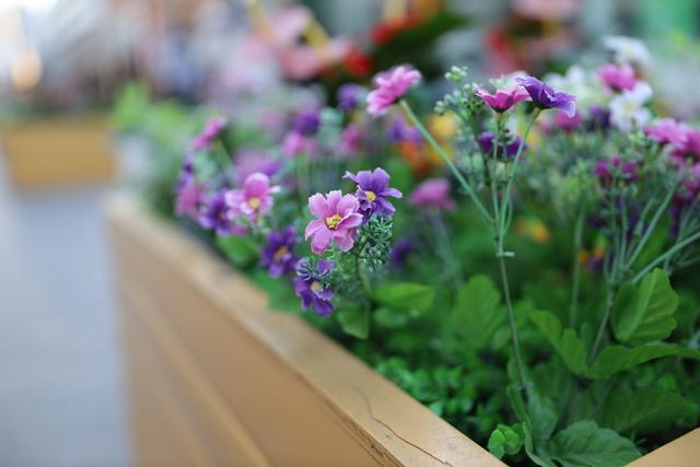 适马35mm1.4镜头测评（利刃般全能镜头）(46)