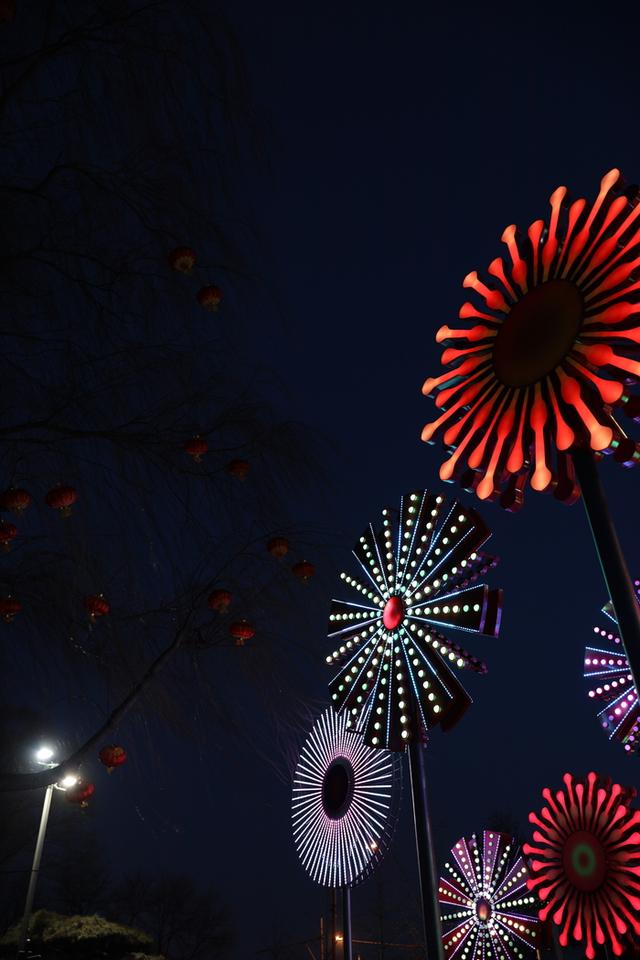 适马35mm1.4镜头测评（利刃般全能镜头）(47)