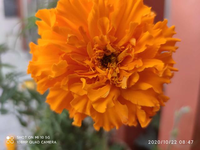 小米10至尊版缺点深度评测（老机新测小米最后一代钉子户）(49)