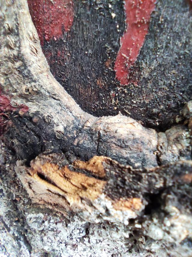 小米10至尊版缺点深度评测（老机新测小米最后一代钉子户）(47)