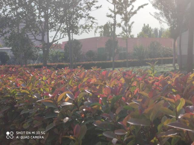 小米10至尊版缺点深度评测（老机新测小米最后一代钉子户）(50)