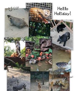 ​别有洞天打一动物，别有洞天是数字几？