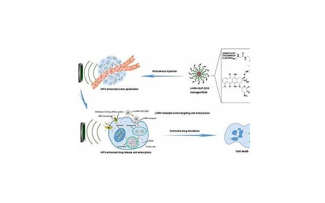 最有效的晕车药：三种药物的效果比较