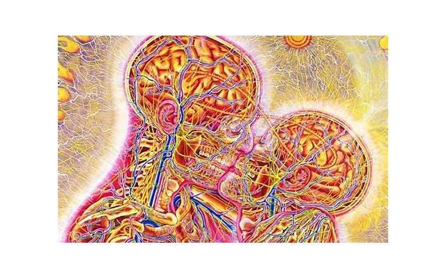 上海五日游 上海五日游