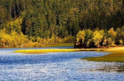 ​怎么办理签证出国？有护照了就能办签证了吗？去哪里办理？