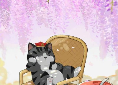 ​disc中s型代表人物