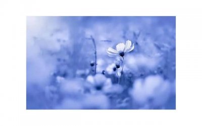 美女的隐私部位有哪些 美女的隐私部位长什么样