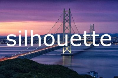 ​每日单词：silhouette