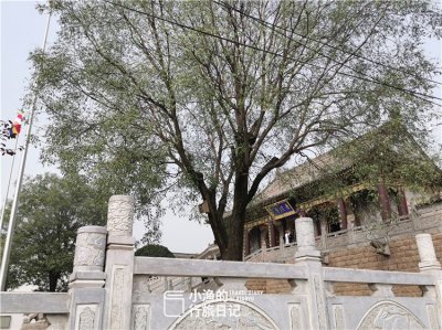 ​西安香积寺村：千年古寺旁的千年古村落，或许即将消失……