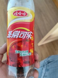​谁还记得娃哈哈非常可乐