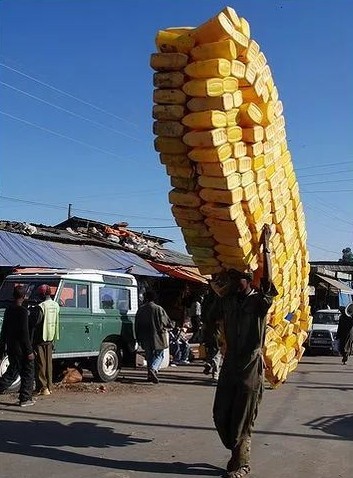 6张图片，让你看懂人生，人生不易，活着更不容易，且行且珍惜