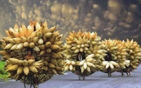 6张图片，让你看懂人生，人生不易，活着更不容易，且行且珍惜