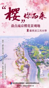 ​“樱”你而来丨盘点南京樱花景观地