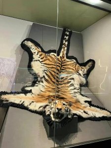 ​震惊！中国海关博物馆的展览品，真敢走私啊！