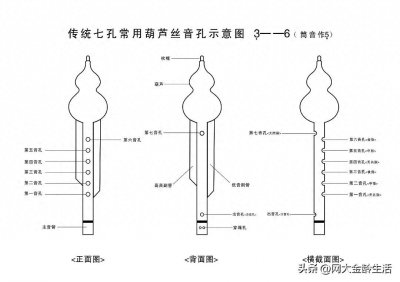 ​免费领！葫芦丝超全指法练习图表（七孔、九孔）