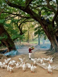 ​福建宁德最值得去的八大景区，每到一处都让人惊艳！绝对值得