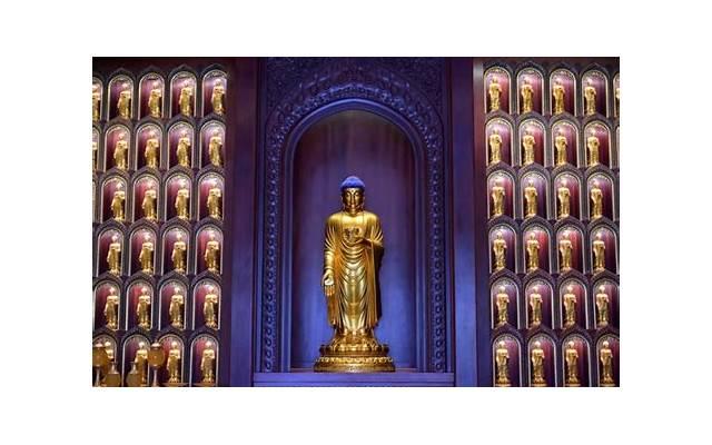 我恨水瓶座,水瓶座为什么不好惹