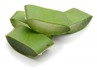 ​冬天芦荟会冻死吗